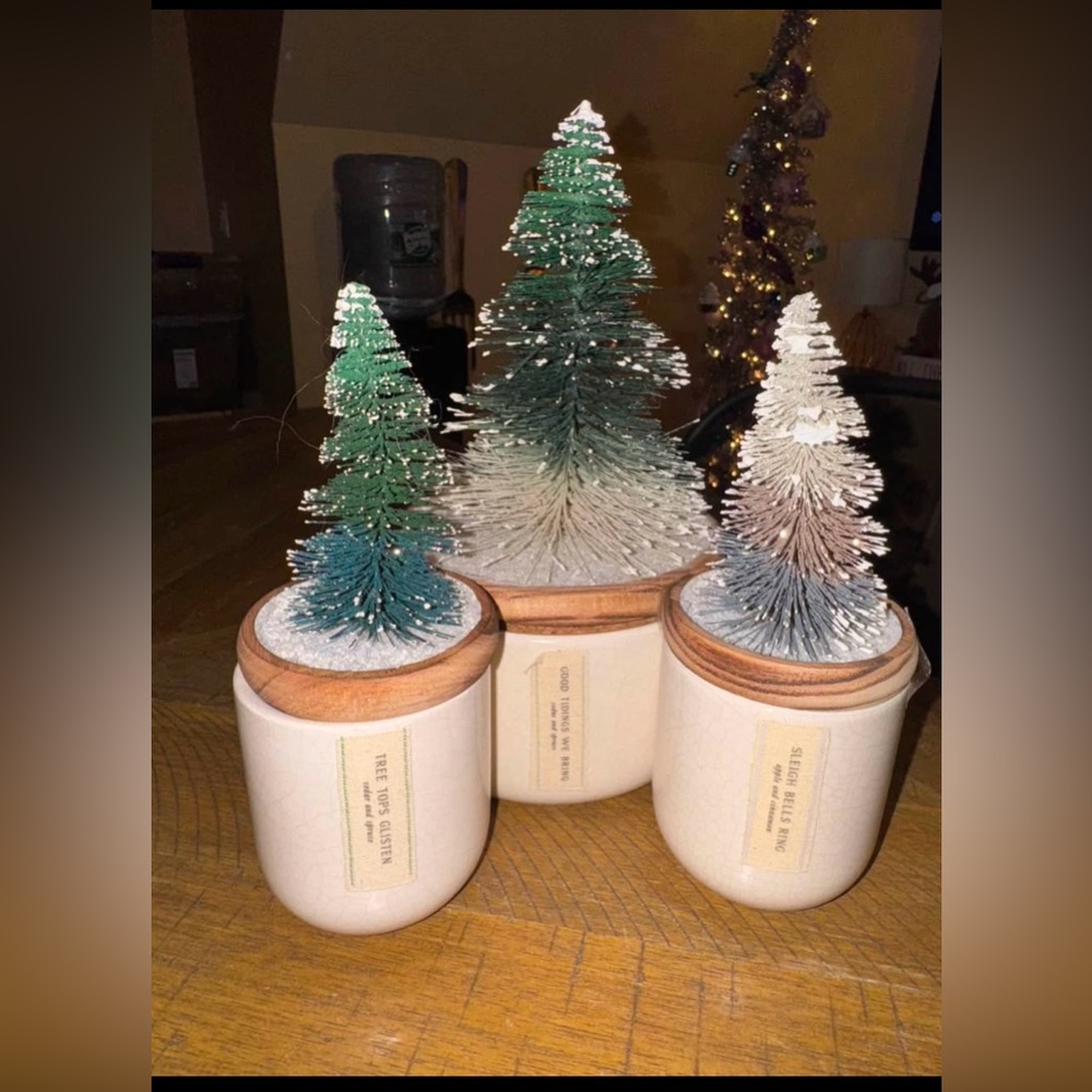 Set of 3 Anthropologie Bottle Brush Tree Candles